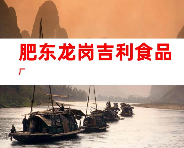 肥东龙岗吉利食品厂