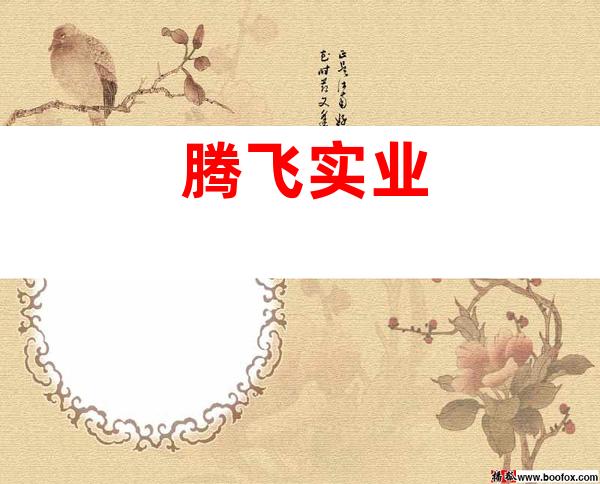 腾飞实业