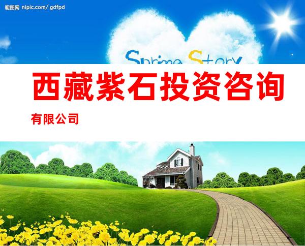 西藏紫石投资咨询有限公司