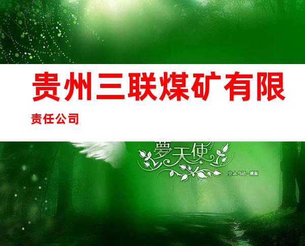 贵州三联煤矿有限责任公司