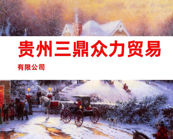 贵州三鼎众力贸易有限公司