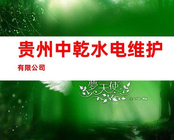 贵州中乾水电维护有限公司