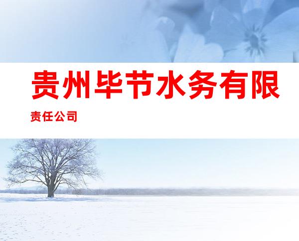 贵州毕节水务有限责任公司