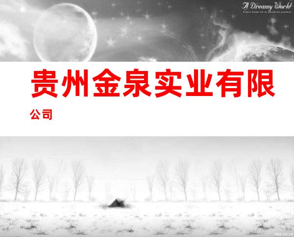 贵州金泉实业有限公司