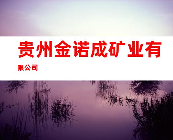 贵州金诺成矿业有限公司