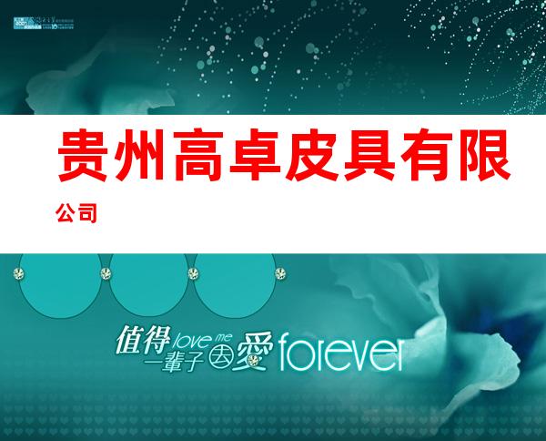 贵州高卓皮具有限公司