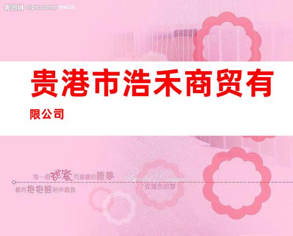 贵港市浩禾商贸有限公司