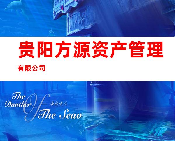 贵阳方源资产管理有限公司