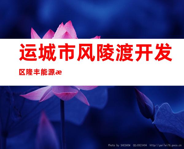 运城市风陵渡开发区隆丰能源有限公司