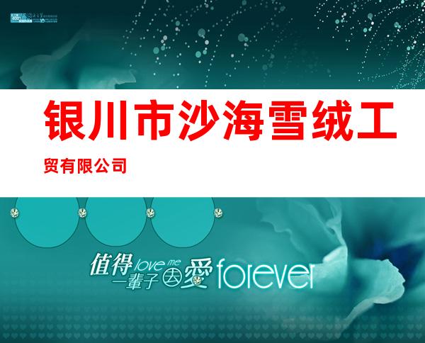 银川市沙海雪绒工贸有限公司