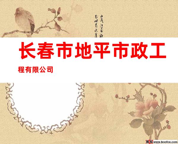 长春市地平市政工程有限公司