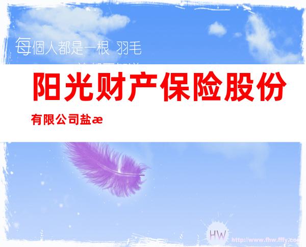 阳光财产保险股份有限公司盐池支公司