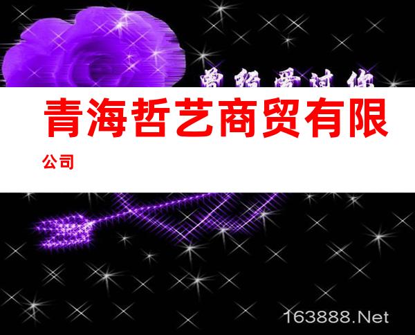 青海哲艺商贸有限公司