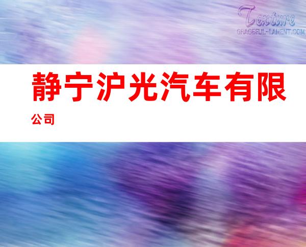静宁沪光汽车有限公司