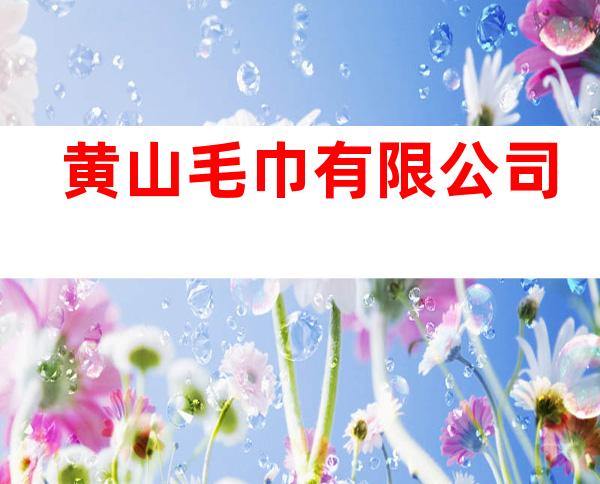 黄山毛巾有限公司