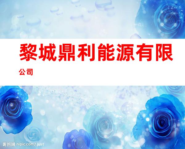 黎城鼎利能源有限公司