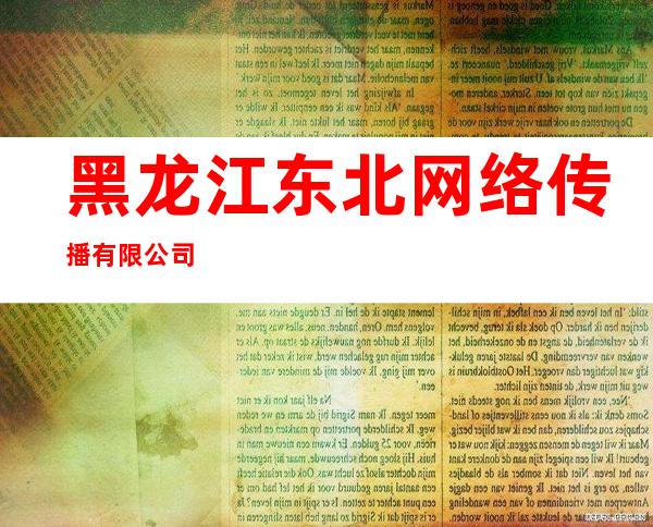 黑龙江东北网络传播有限公司
