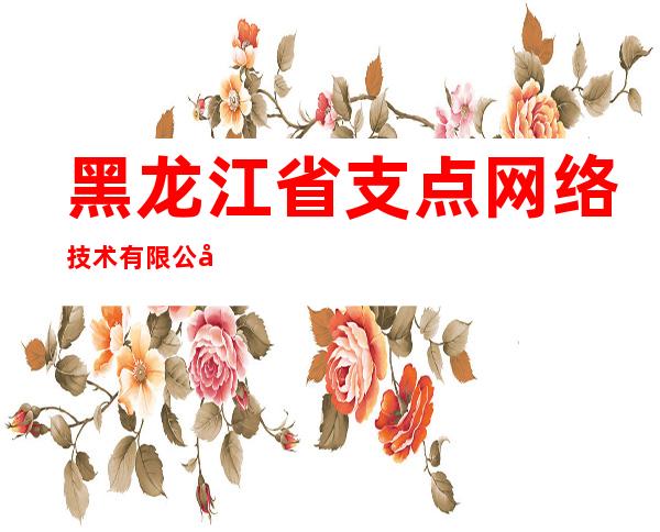 黑龙江省支点网络技术有限公司